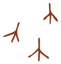 andante-vineyard-footprint-graphic-rust-down.png