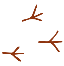 andante-vineyard-footprint-graphic-rust-right.png