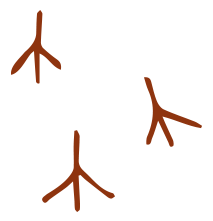 andante-vineyard-footprint-graphic-rust-down-2.png