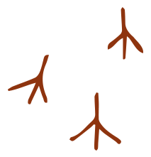 andante-vineyard-footprint-graphic-rust-down.png