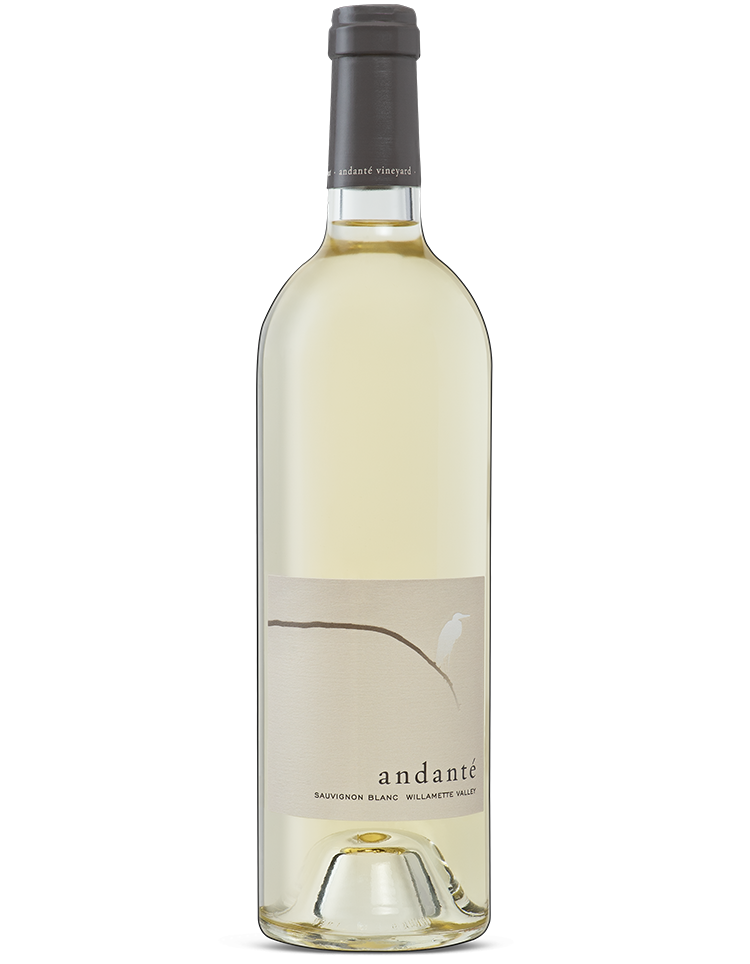 2022 Sauvignon blanc
