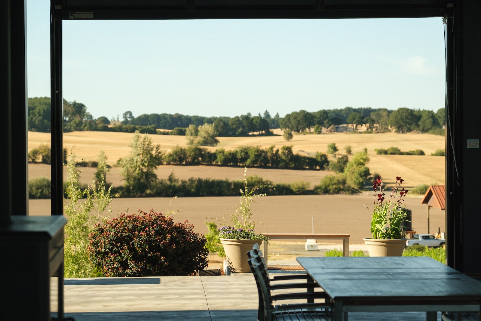 view of the farm land from the East patio