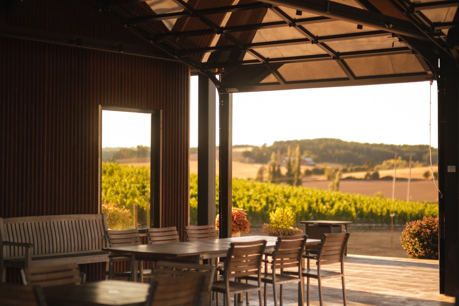 Andante east patio vineyard view