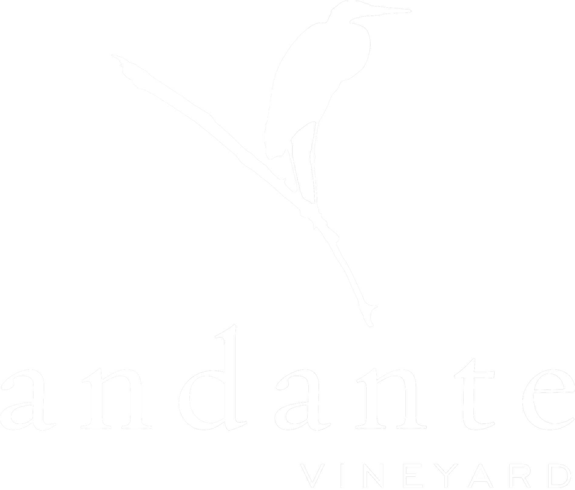 Andante Vineyard