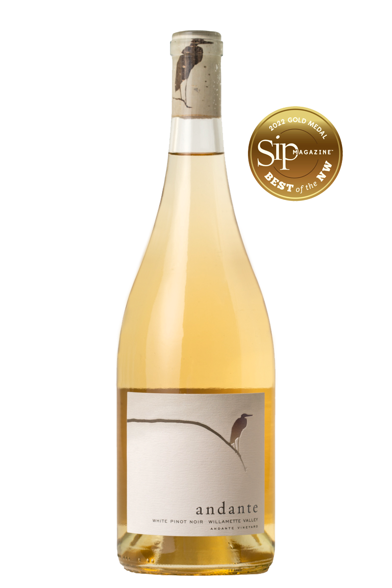 White Pinot noir — Andante Vineyard