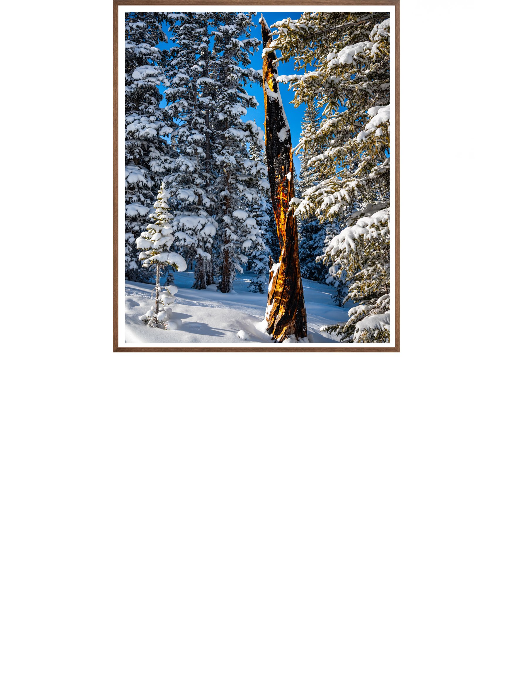 Fire in Winter_Natural.jpg