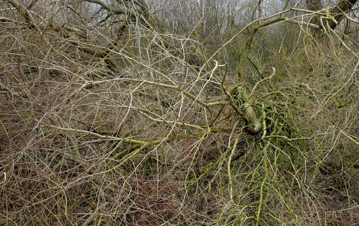 Catcliffe Flash #4, 2011