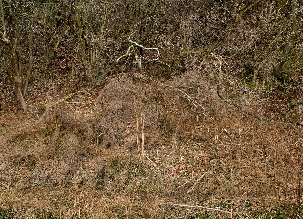 Shire Brook Valley #35, 2012