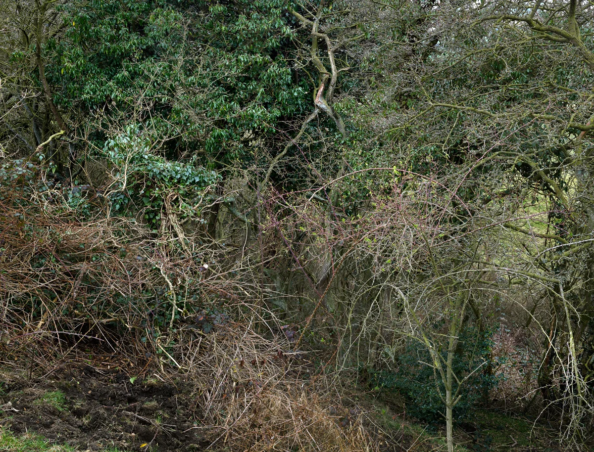 Totley Brook #4, 2012
