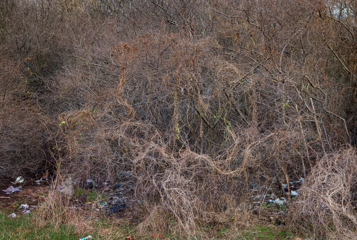 Brightside #5, 2015 - See Terrain Vague #2