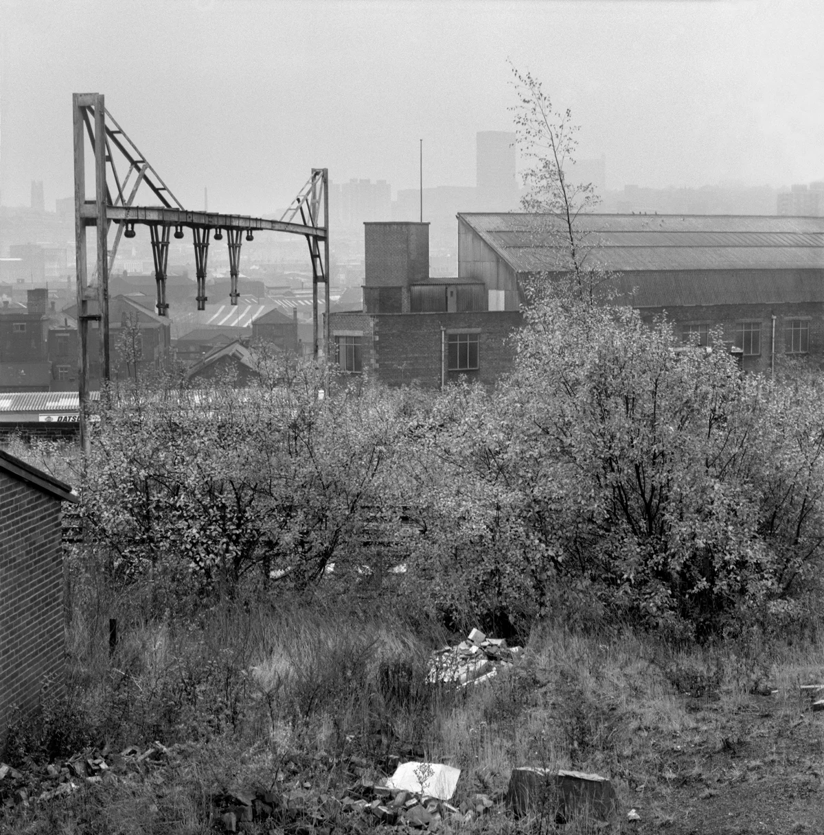Industrial Valley #128