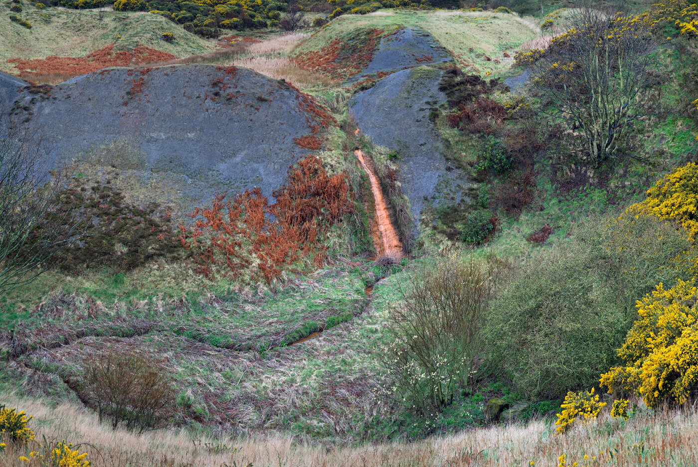   Alum Scars, North Yorkshire Coast. Work in progress.   From the 16th-century alum was essential in the textile industry as a fixative for dyes. Alum was extracted from quarried shales and then burnt in huge piles for 9 months, before transferring i