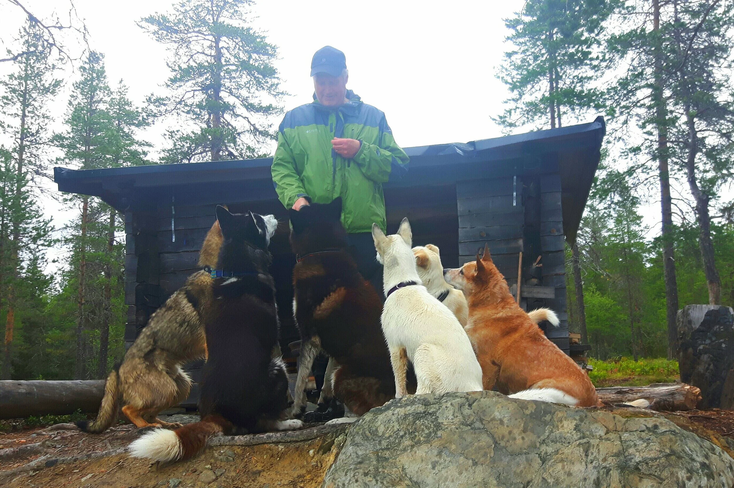 Dog Behavior Course — Jet Sleddogs