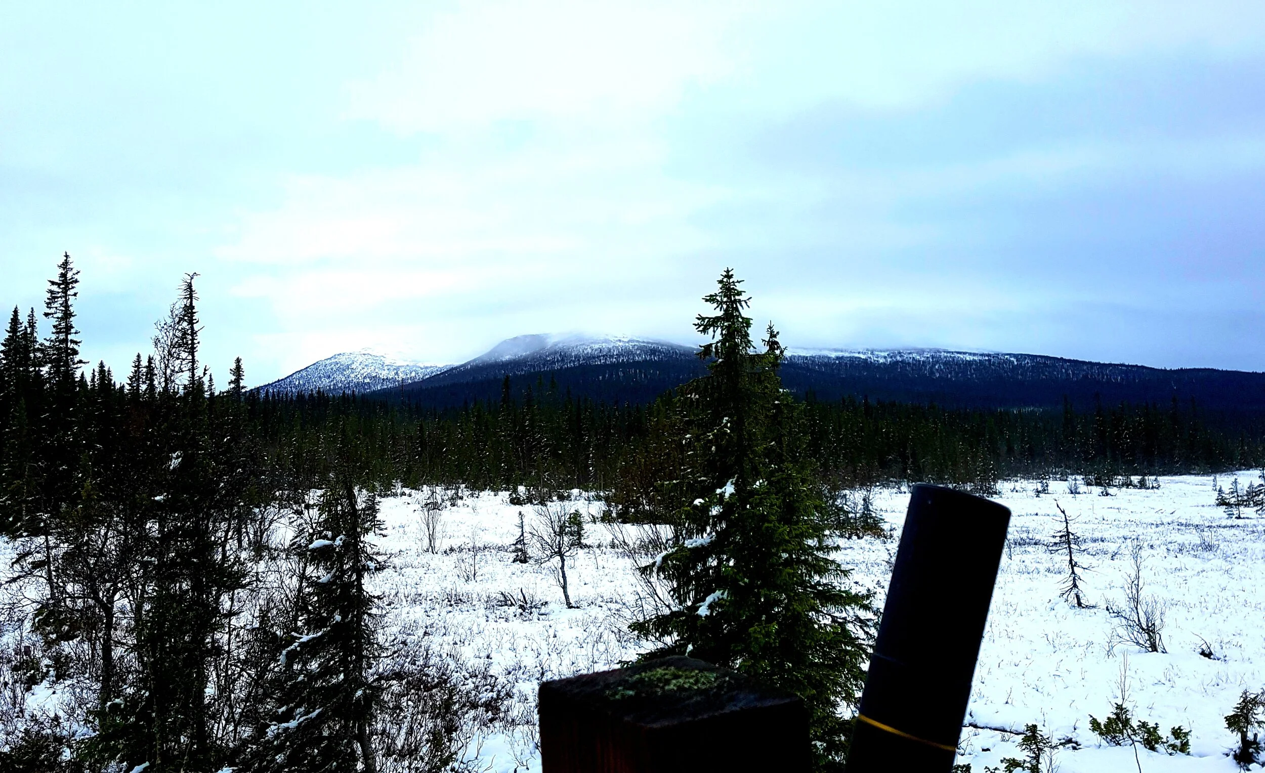 20191019_093350.jpg