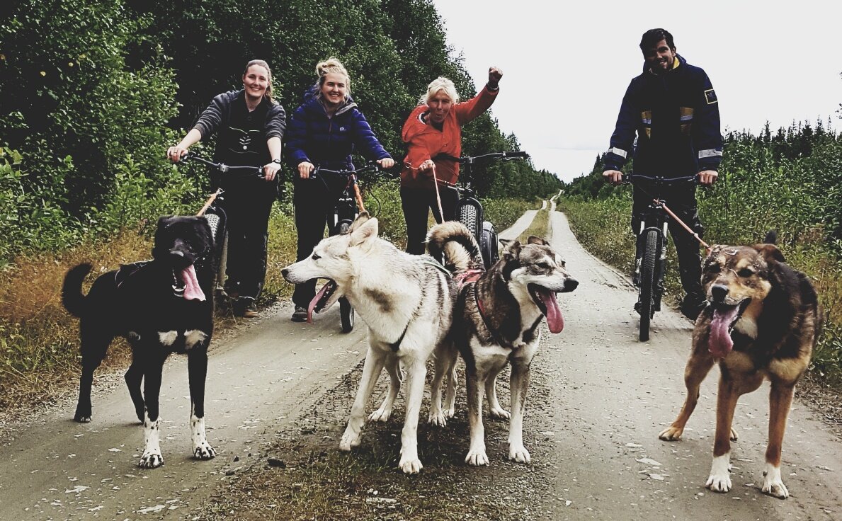 Kickbiking on forest roads