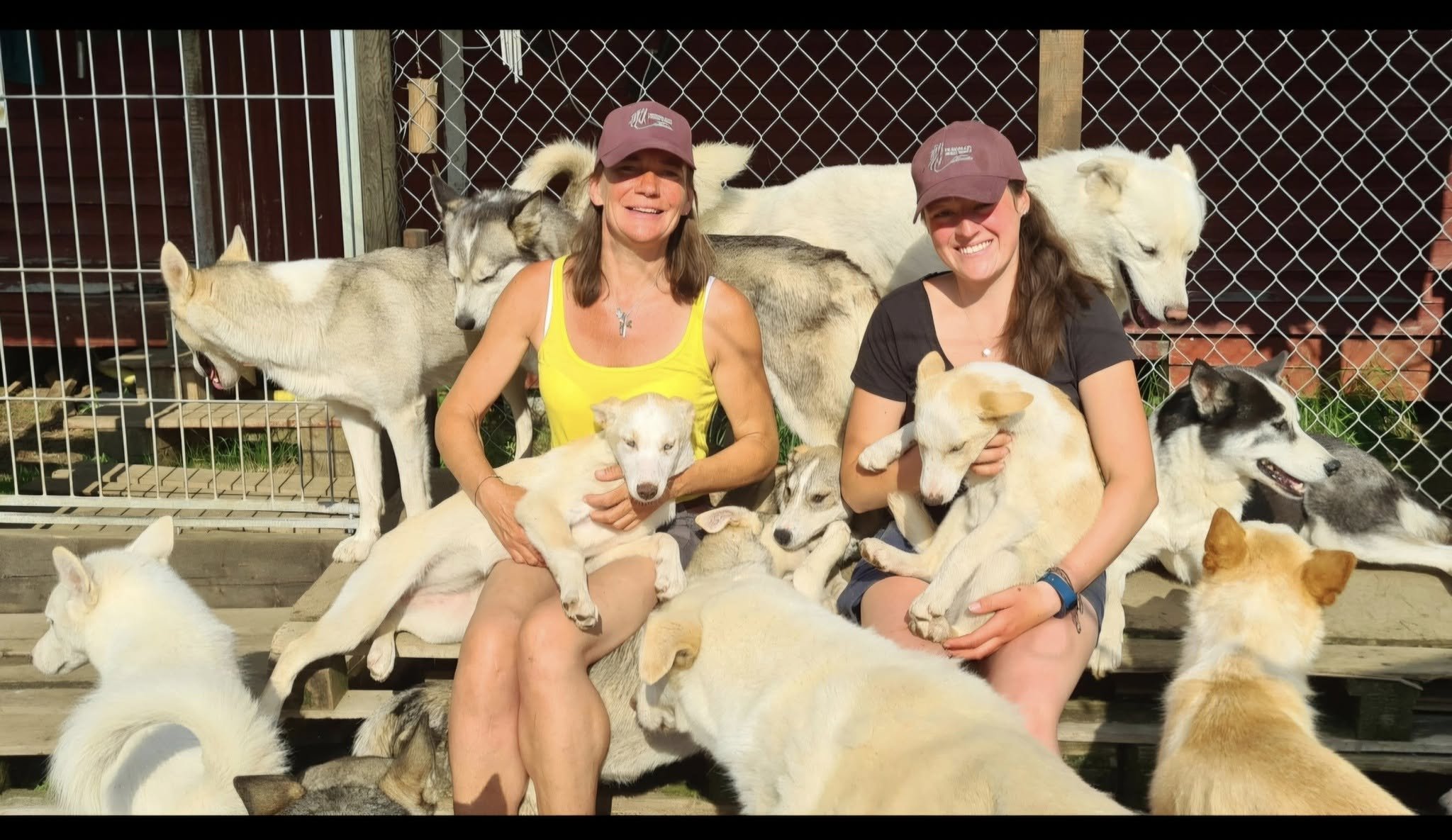 Cuddling with huskies