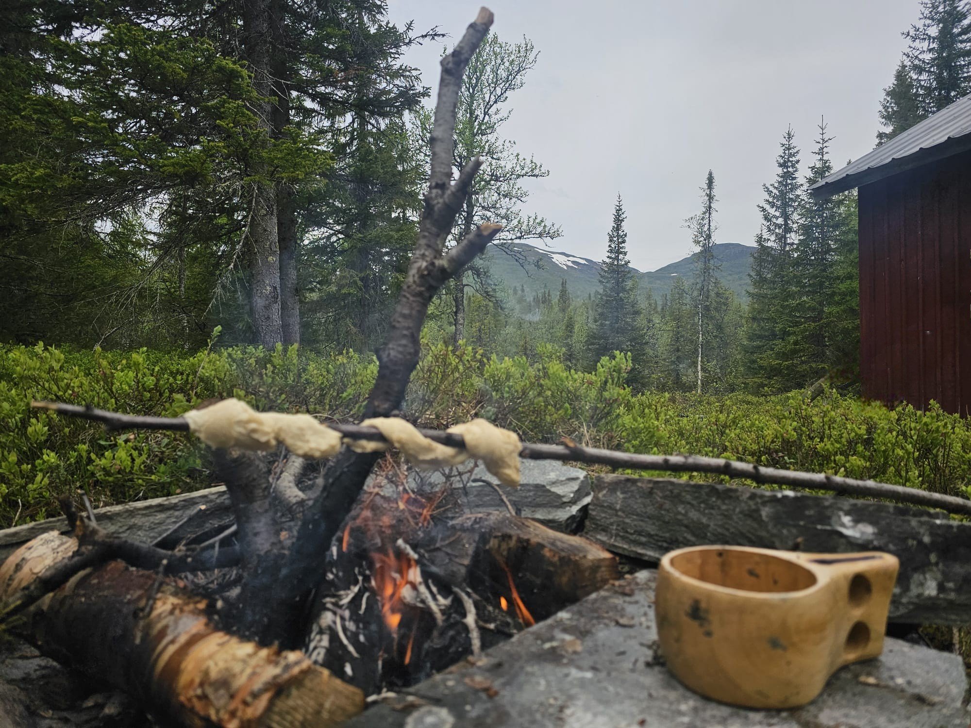 Fika in the nature