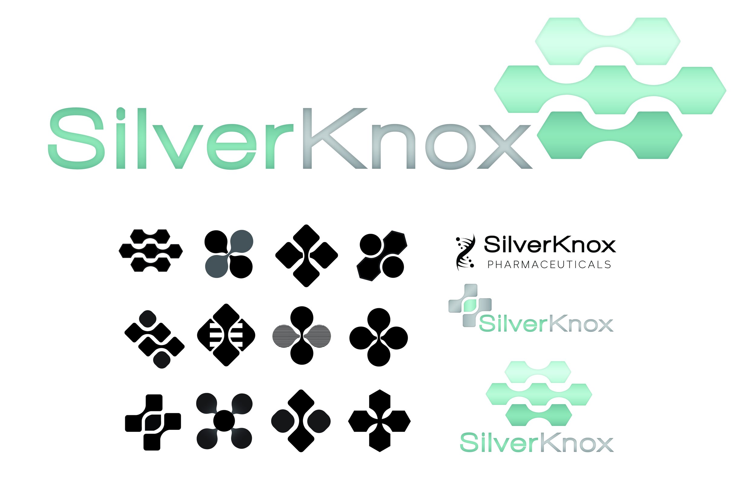 Silver Knox-14.jpg