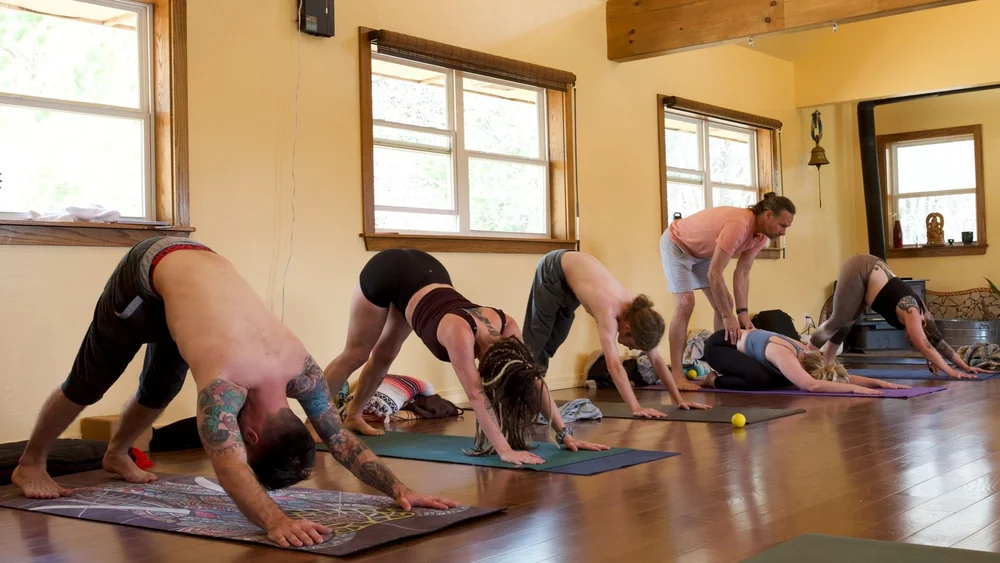 A full class in downward dog in a wood-floored yoga room