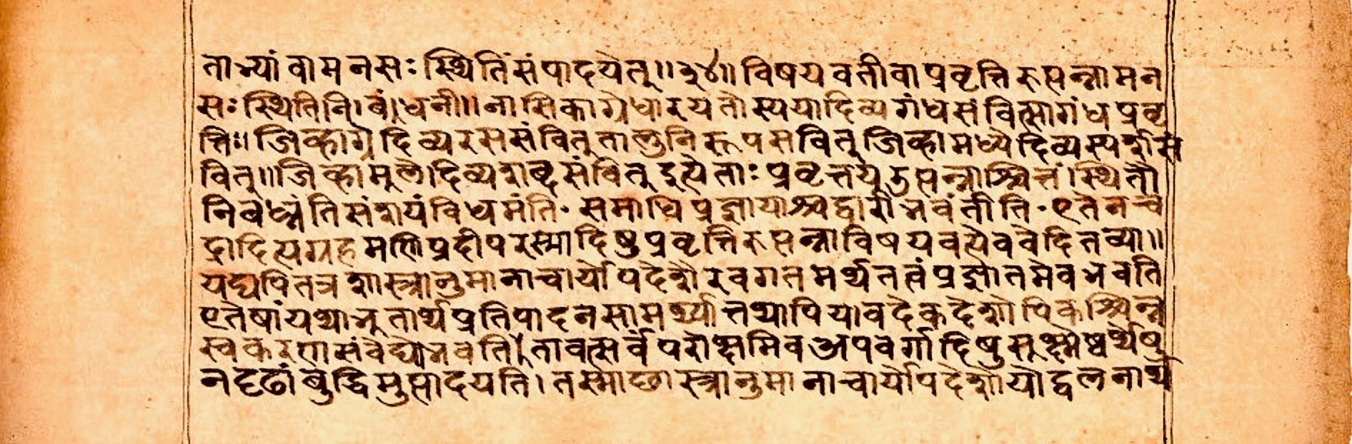 Patanjali's_Yogabhasya,_Sanskrit,_Devanagari_script,_sample_page_f13r.jpeg