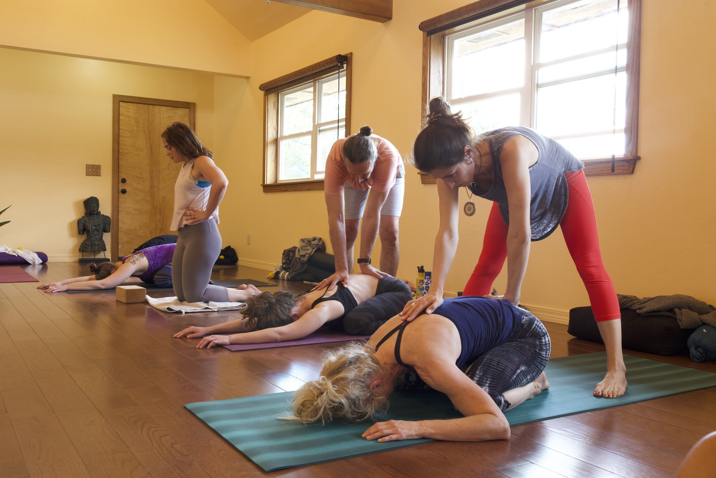 The art of adjustments in Ashtanga Yoga • Ashtanga Blog • Tania Kemou Yoga