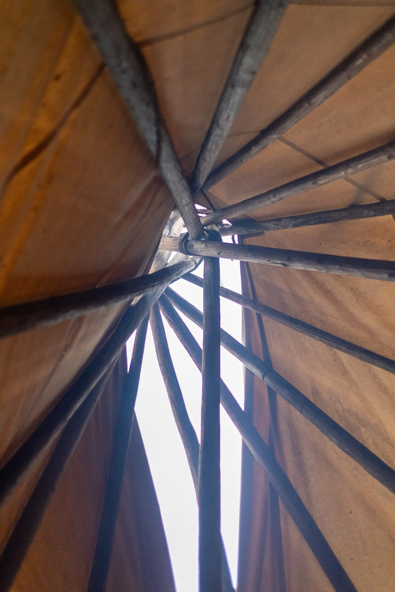 R6II8088.jpg