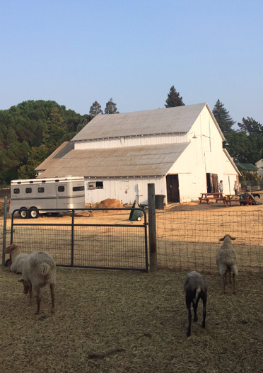 Church on the Farm, Sunday, August 11, 2019 at 10 am