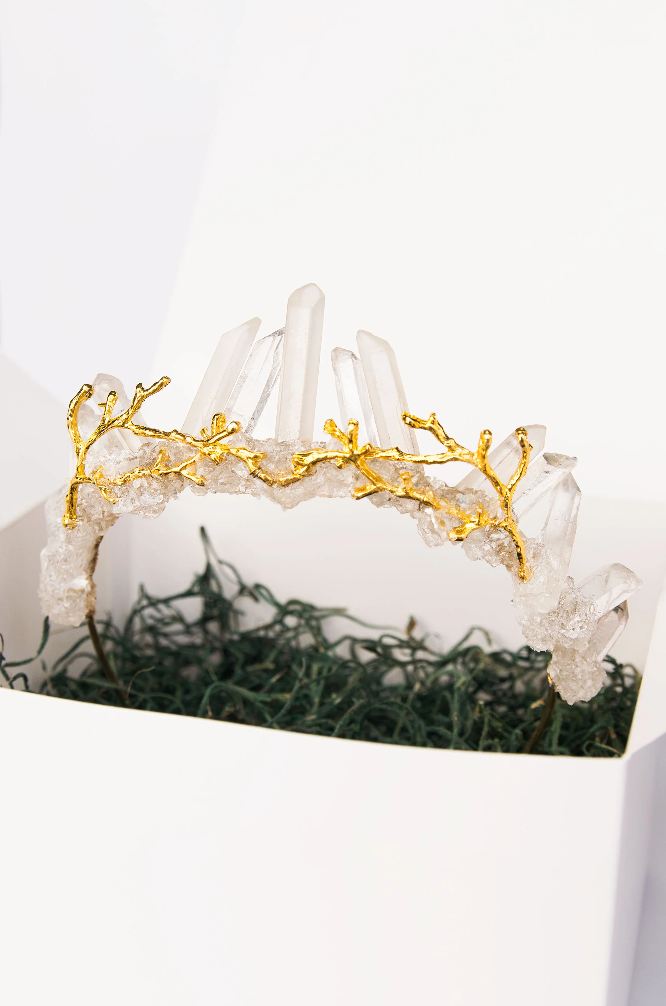 branch-crown-box.jpg