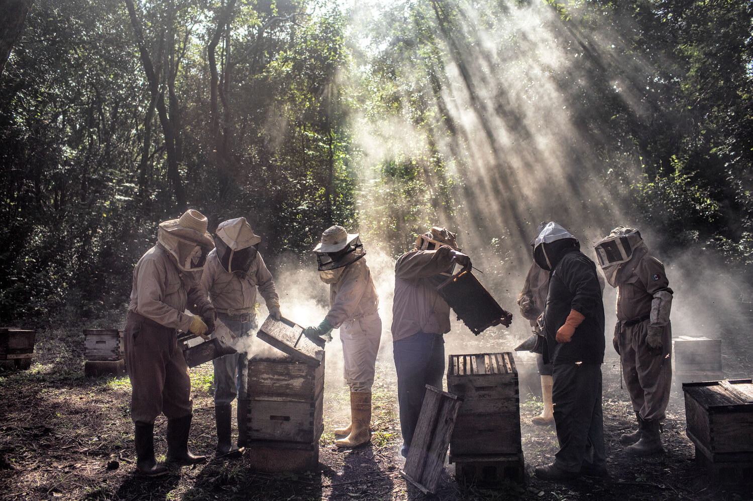  A group of beekeepers tending to their hives in the off-season while the bees are getting ready to start pollinating flowers. The group is led by Professor Russel Armin Balan, who has been certified by a course in producing organic honey. Tínun, Mexico, 2018. 