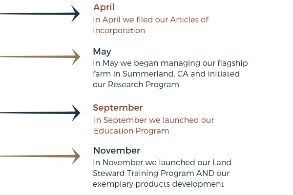 WBLT Timeline (3).jpg