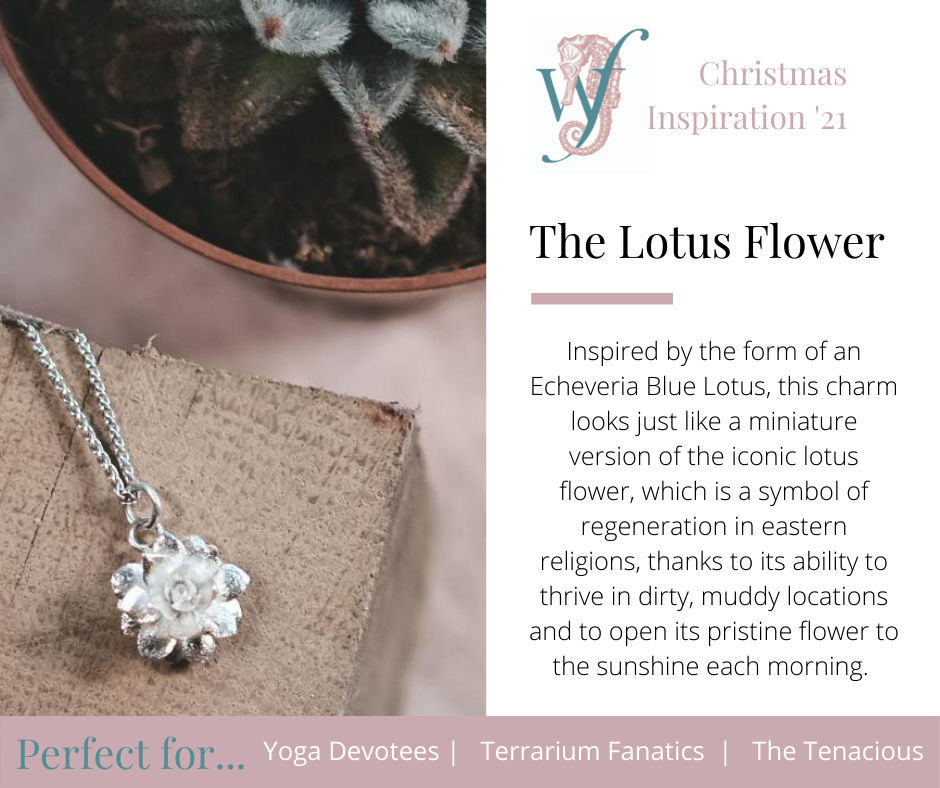 The Lotus Flower - perfect for yoga devotees, terrarium fanatics and the tenacious