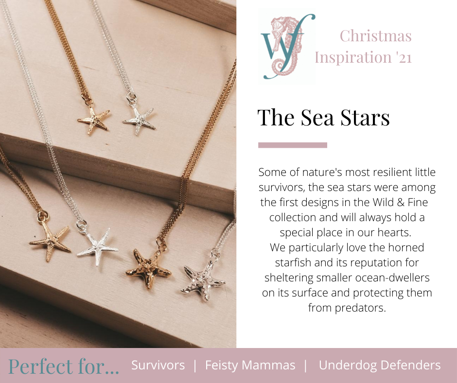 The Sea Stars - perfect for survivors, feisty mammas and underdog defenders