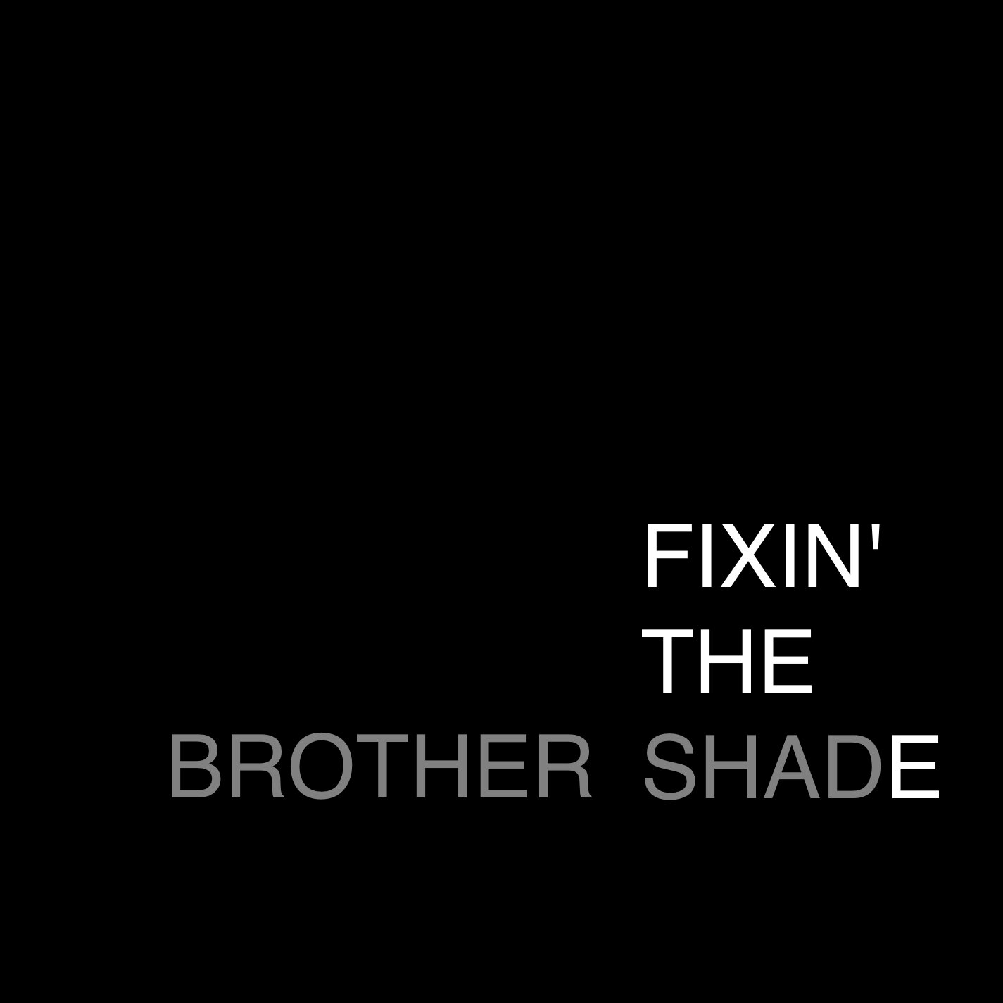 Fixin' the Shade (2010)