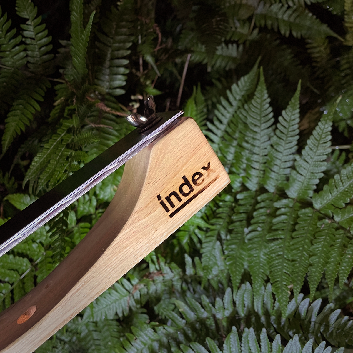 782E50CB-5C81-4CC5-BF8A-BEA10A9F5243