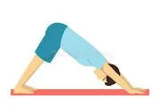 Downward Dog for the win