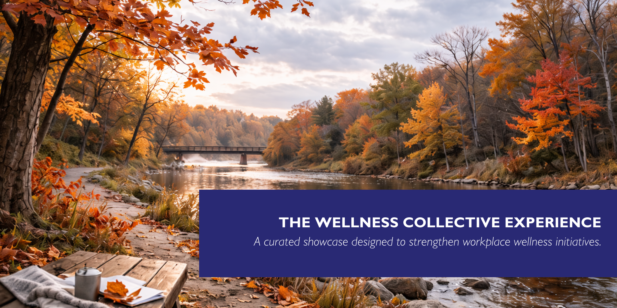 The Wellness Collective Experience 