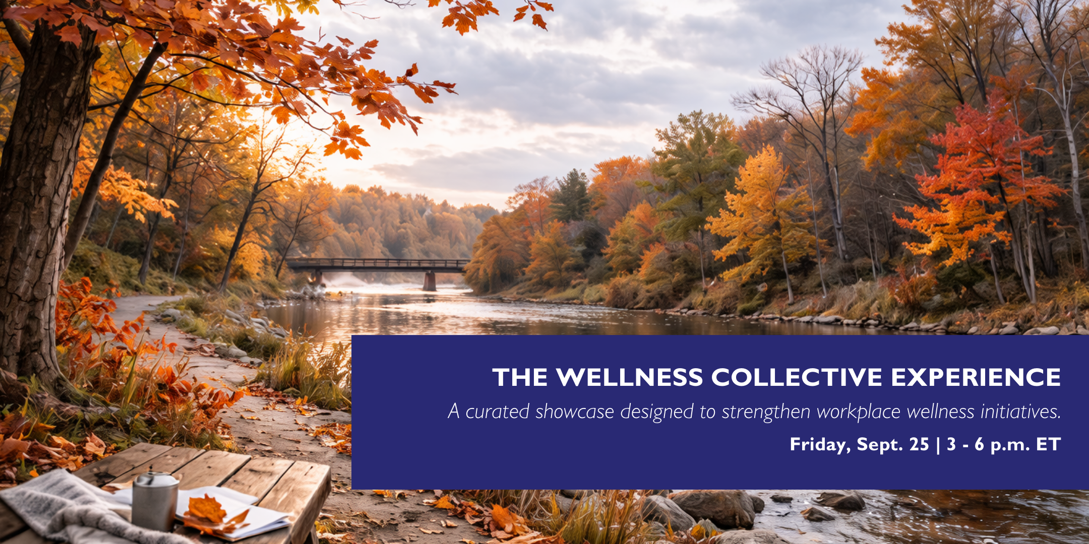 The Wellness Collective Experience 