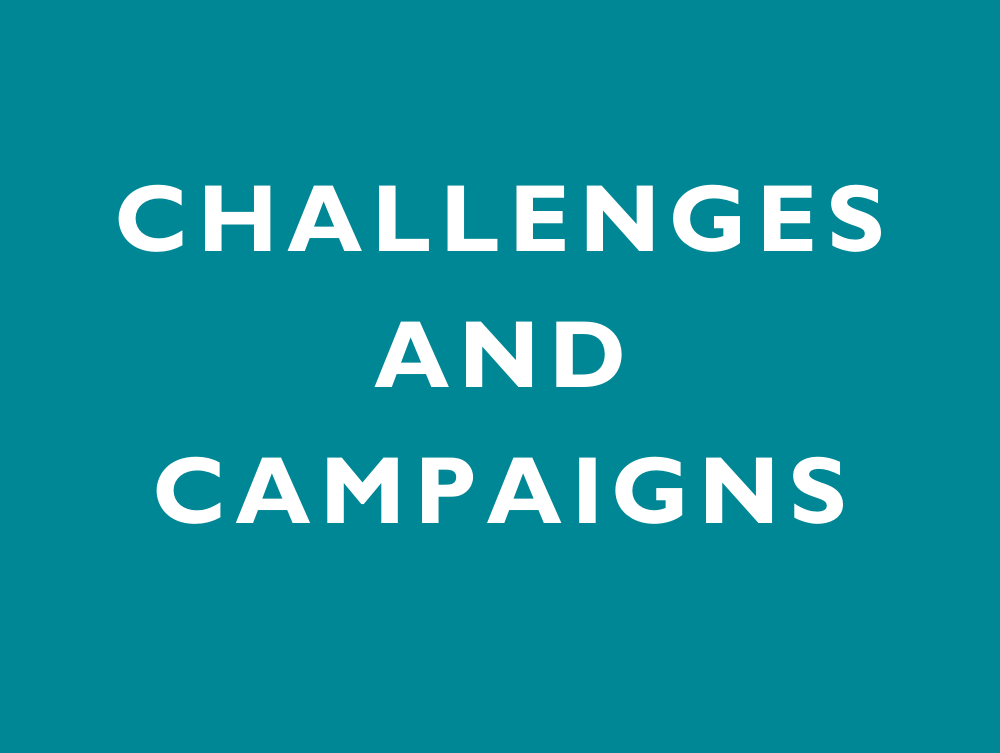 Challenges and Campaigns.png