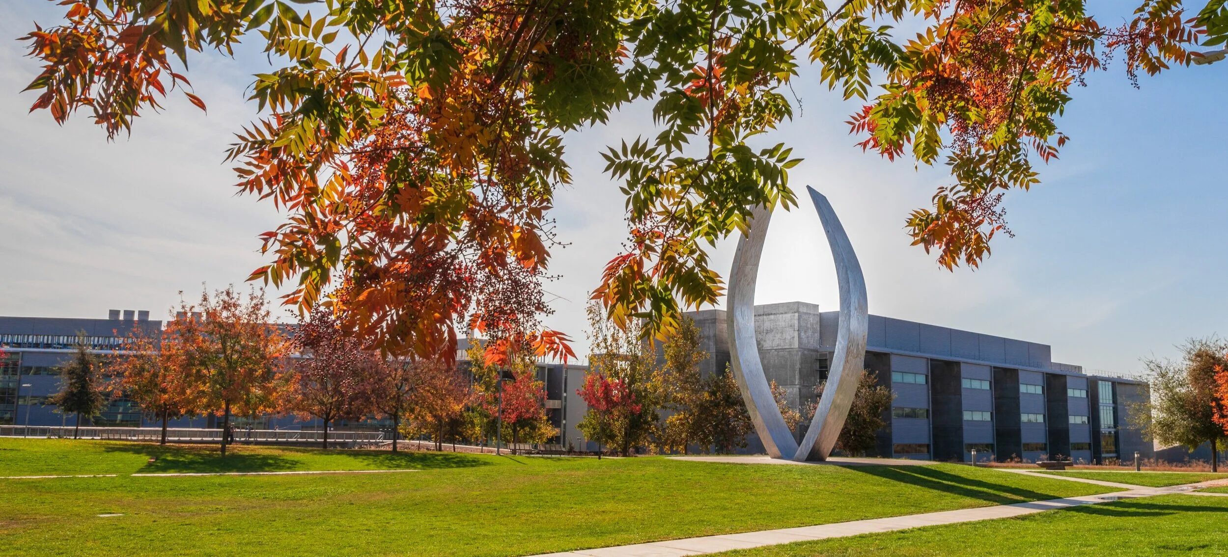 Beginnings_Fall_191115-1.jpg