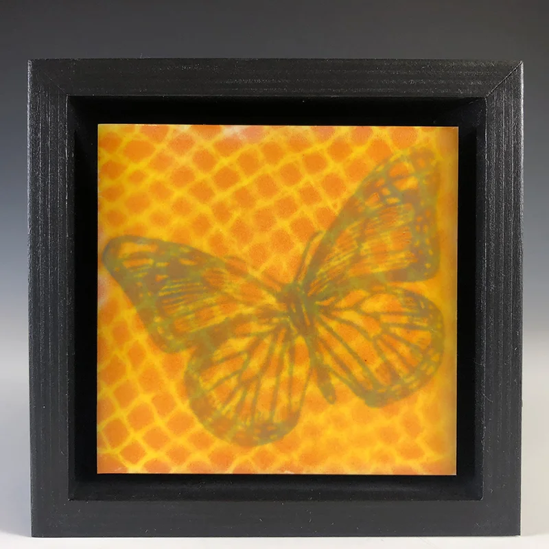 "There is nothing in a caterpillar that tells you it's going to be a butterfly."