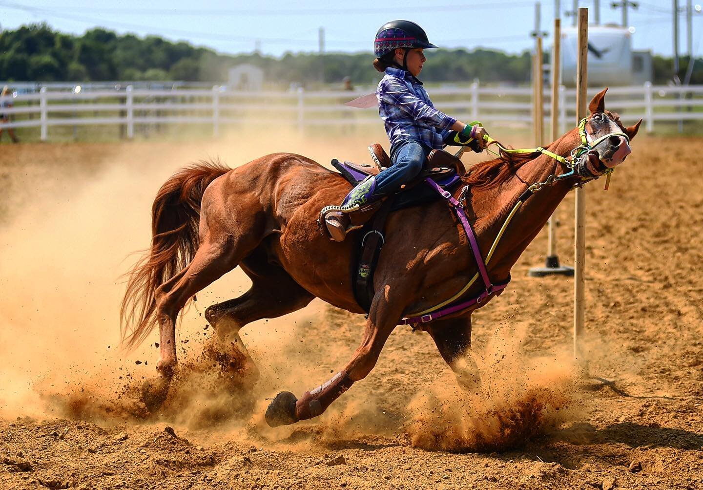 Lilly Chenoweth, 11, of South Amherst, rounds a turn in the Lorain County Junior Fair pole bending competition on Wednesday afternoon, August 26. Chenoweth is riding Leigha Hostal's horse, Cody, in the contest. Hostal passed away after a car accident