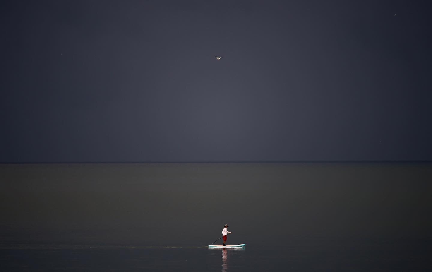 Seems like a perfectly reasonable time to go for a paddle.
.
.
.
#weather #wx #locowx #rain #storms #thunder #calmbeforethestorm #paddlebording #sup #lakeerie #lake #paddle #gull #horizon #skyline #shoreline #art #artofvisuals #photography #photograp