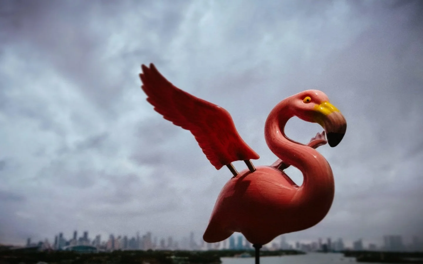 Oh hey there, Miami.

#Miami #Florida #Flamingo #Rain #Skyline