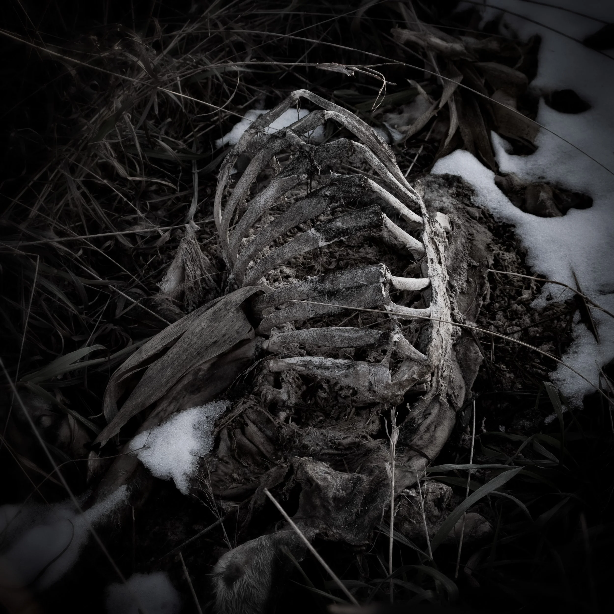 All That Remains.jpg