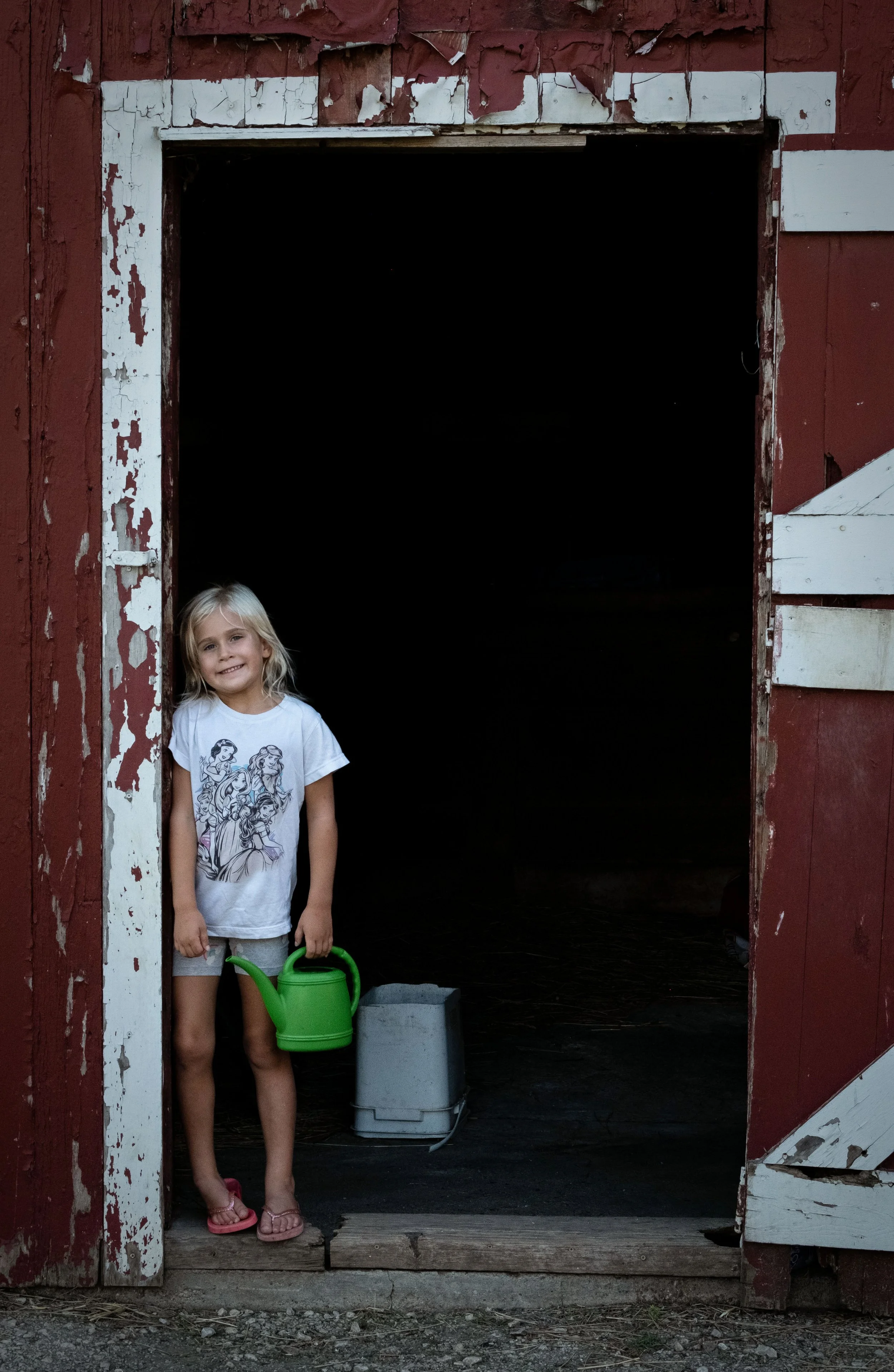 Bella of the Barn.jpg
