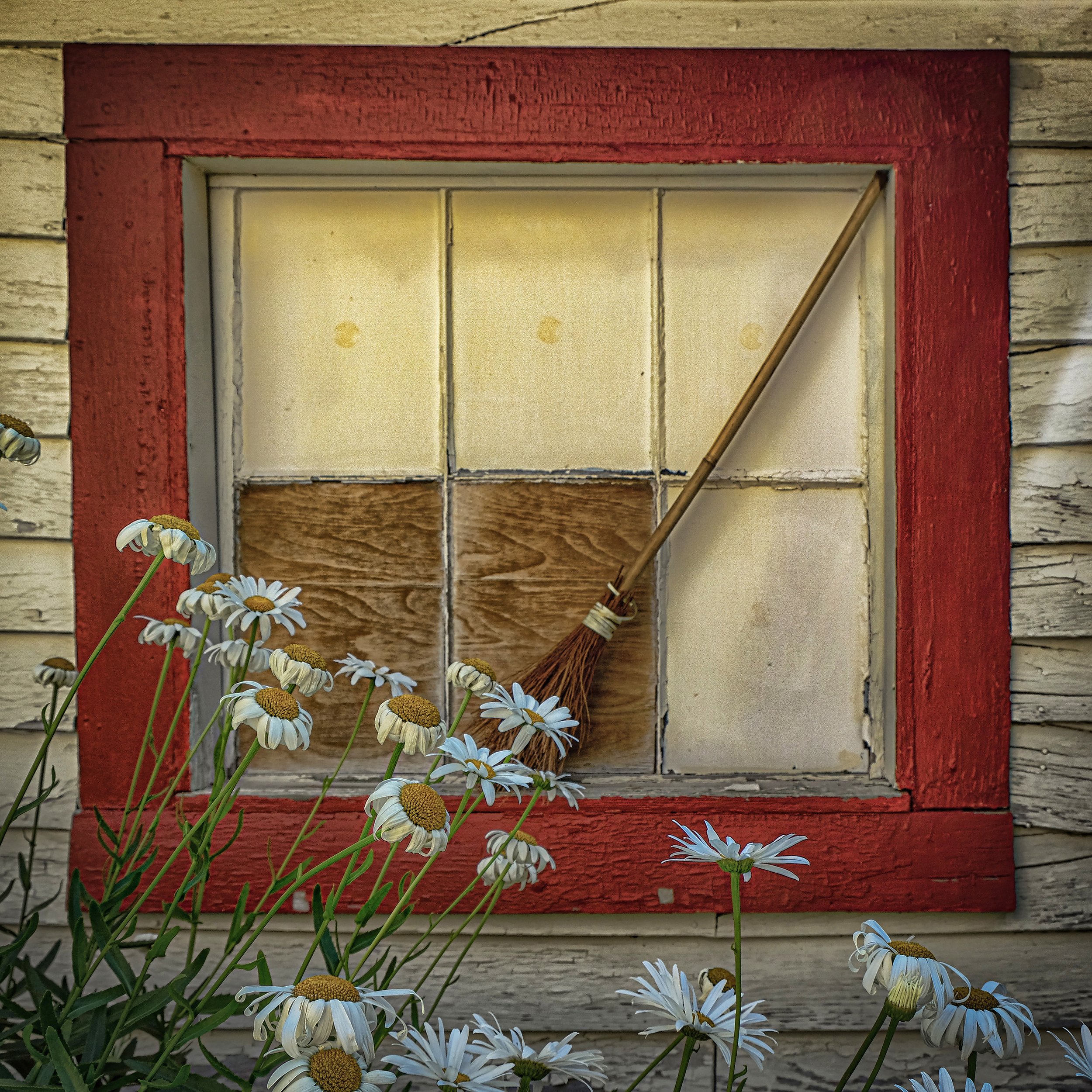 Yellow in the WindowSM.jpg