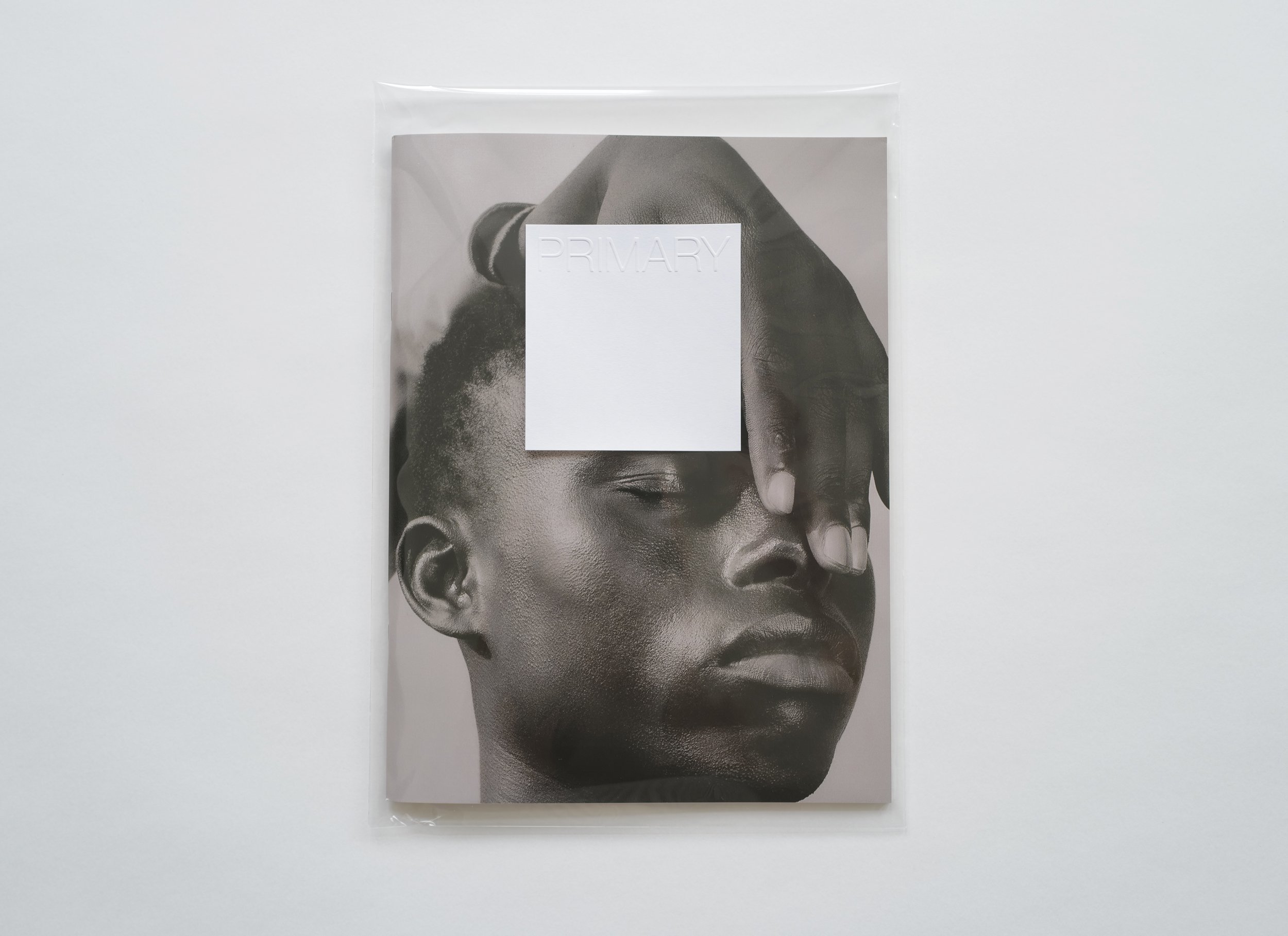 Primary-Exhibition-II-Book-27.jpg