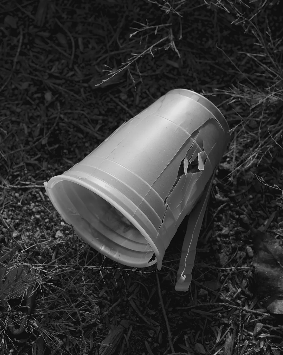 Untitled (Cup), Massachusetts, 2014