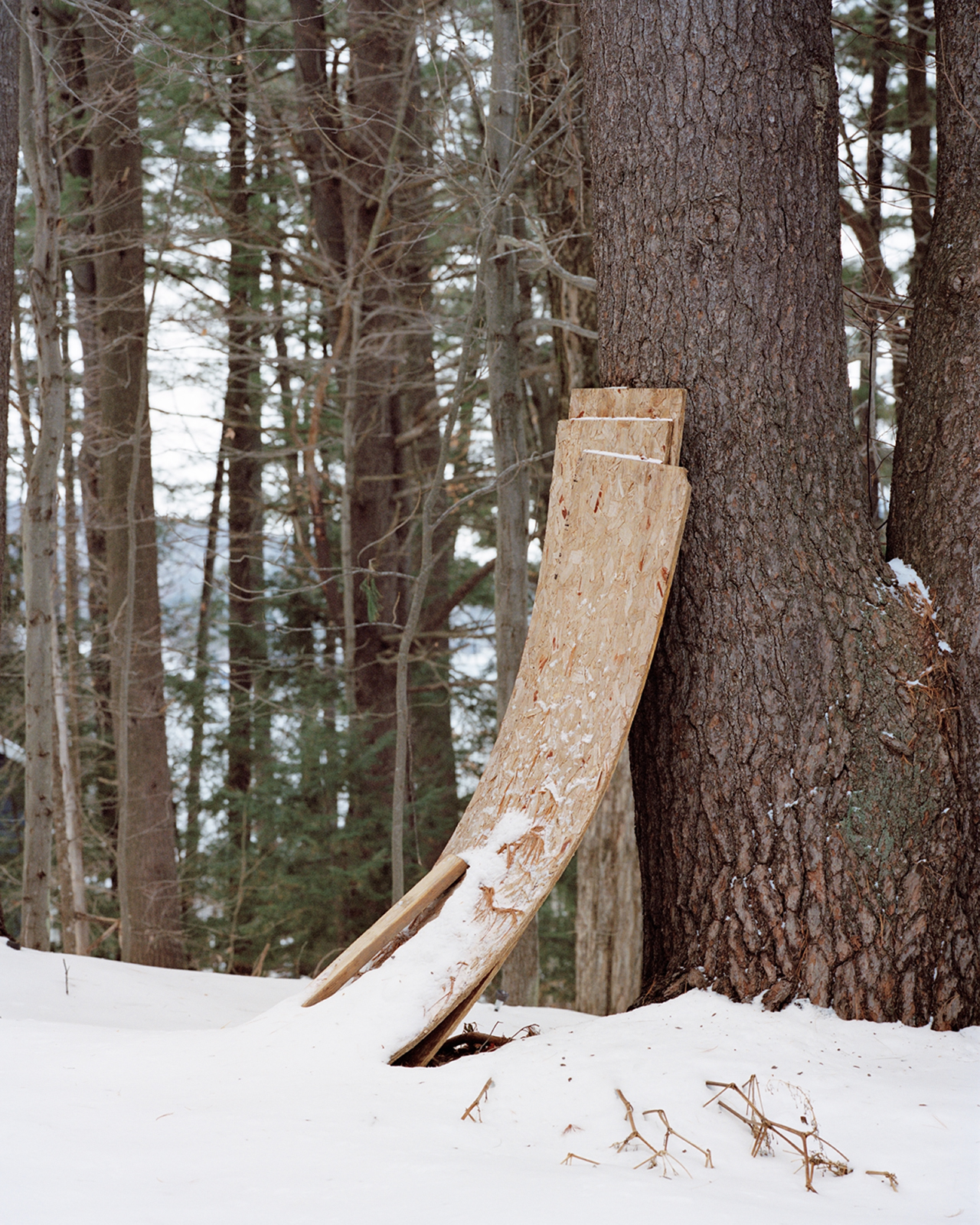  Bent Plywood 