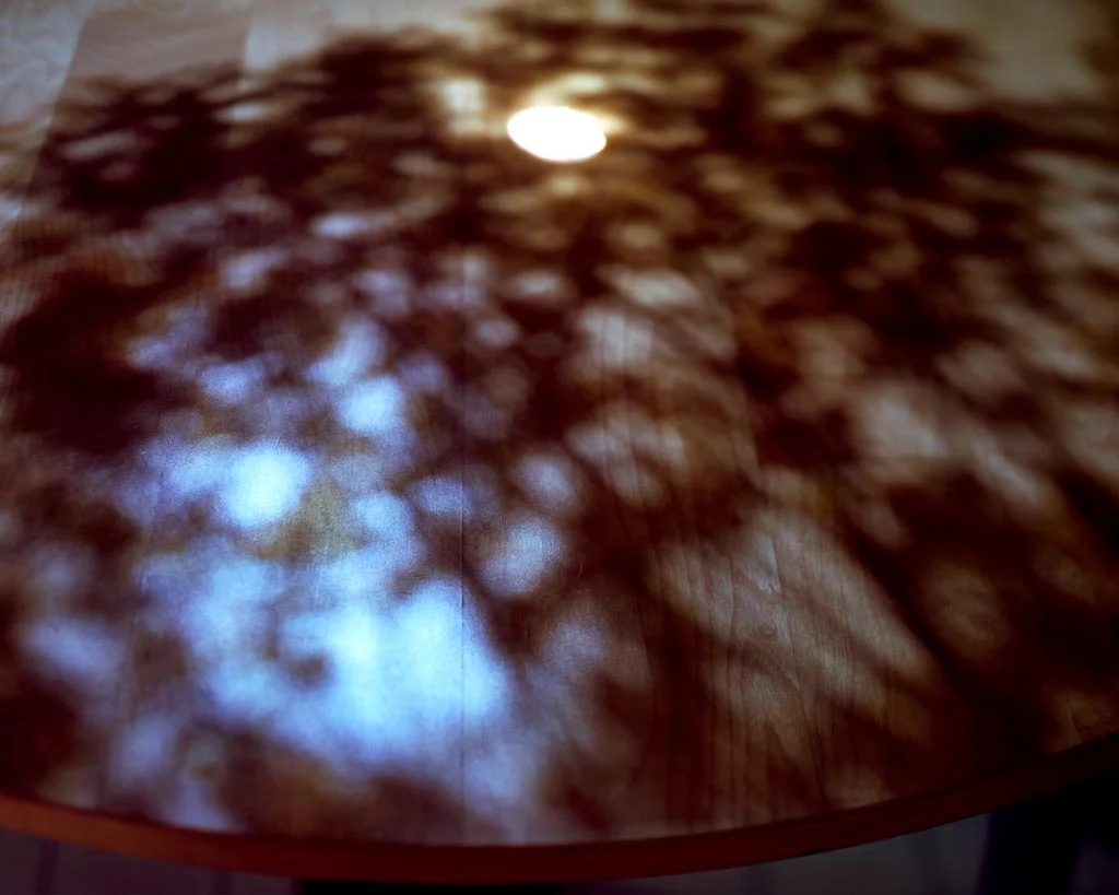 The Sun, Shining Through Trees on our Kitchen Table